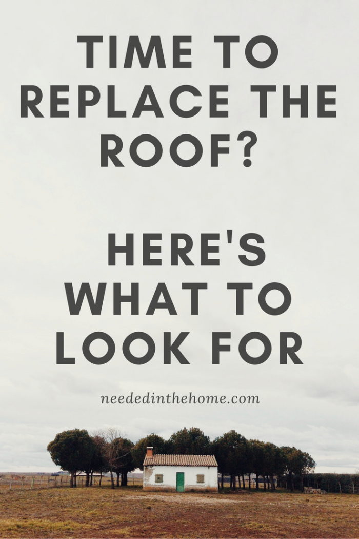 pinterest-pin-description little house in country needs repair trees grassland Time to Replace the Roof? Here's What to Look For neededinthehome