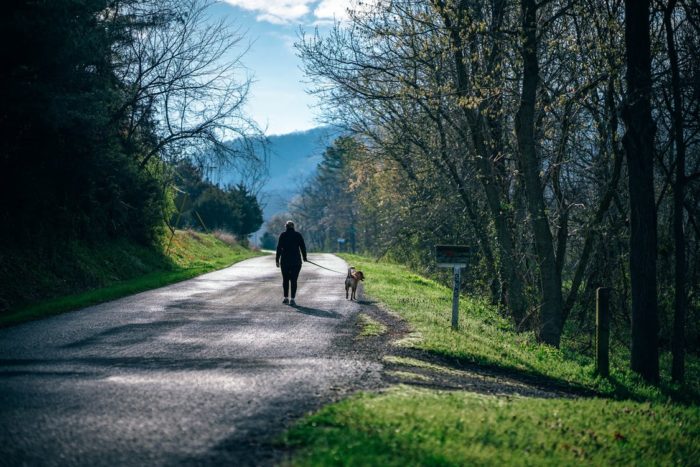 woman walking dog on country road mailbox trees mountain Bonding And Rewarding Your Pooch