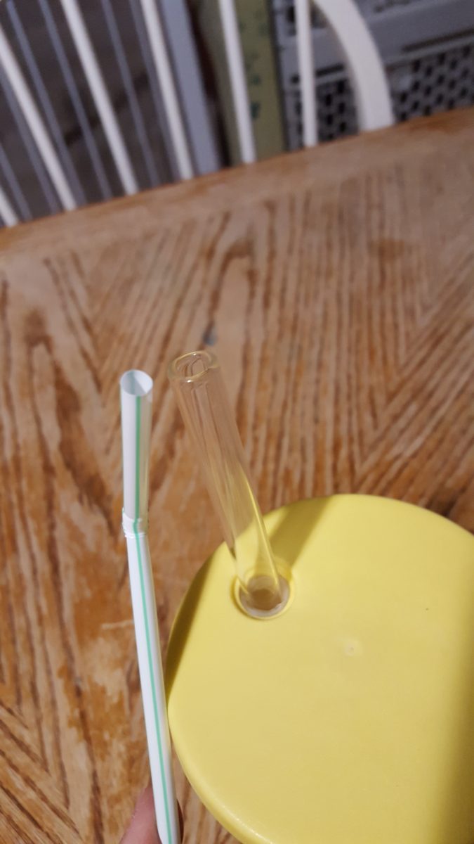 photo of a plastic straw compared to a glass straw