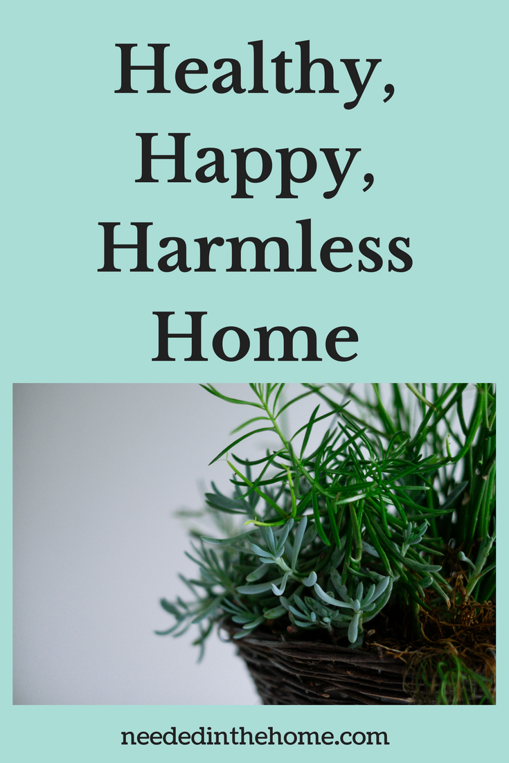 house plant A Healthy, Happy, Harmless Home: 6 Ways To Restore Your Residence neededinthehome.com