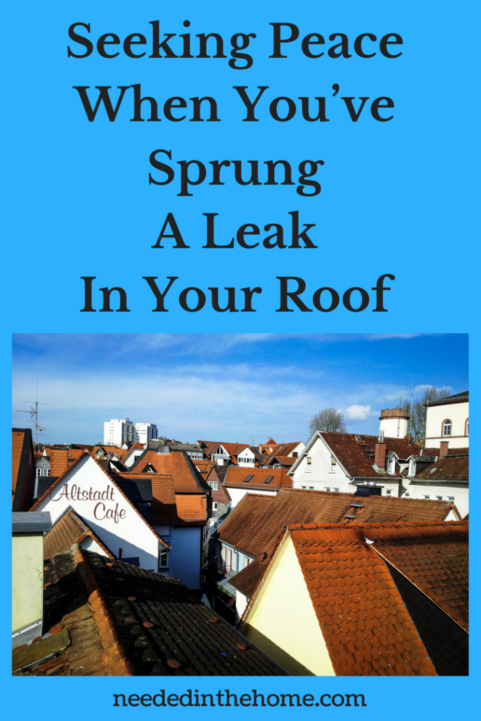 rooftops in daylight clouds  Seeking Peace When You’ve Sprung A Leak In Your Roof neededinthehome.com