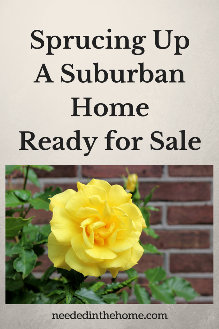 yellow rose and green leaves growing near a brick wall Sprucing Up a Suburban Home Ready for Sale from NeededInTheHome