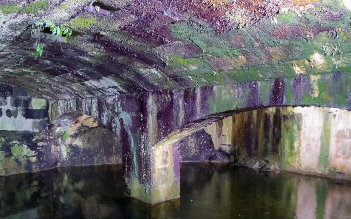mold under a bridge Crucial Advice For Preventing Water Damage In And Around The Home