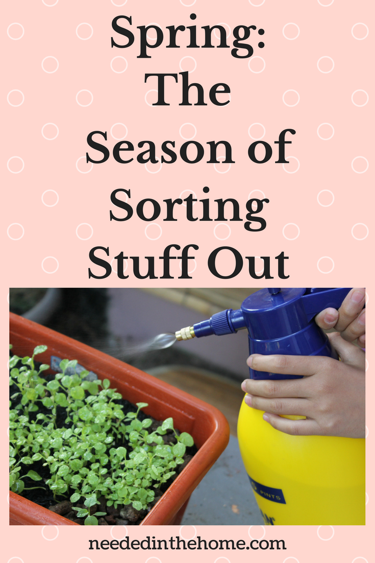 Spring: The Season of Sorting Stuff Out Inside and Outside of the home! spraying baby plants with water neededinthehome