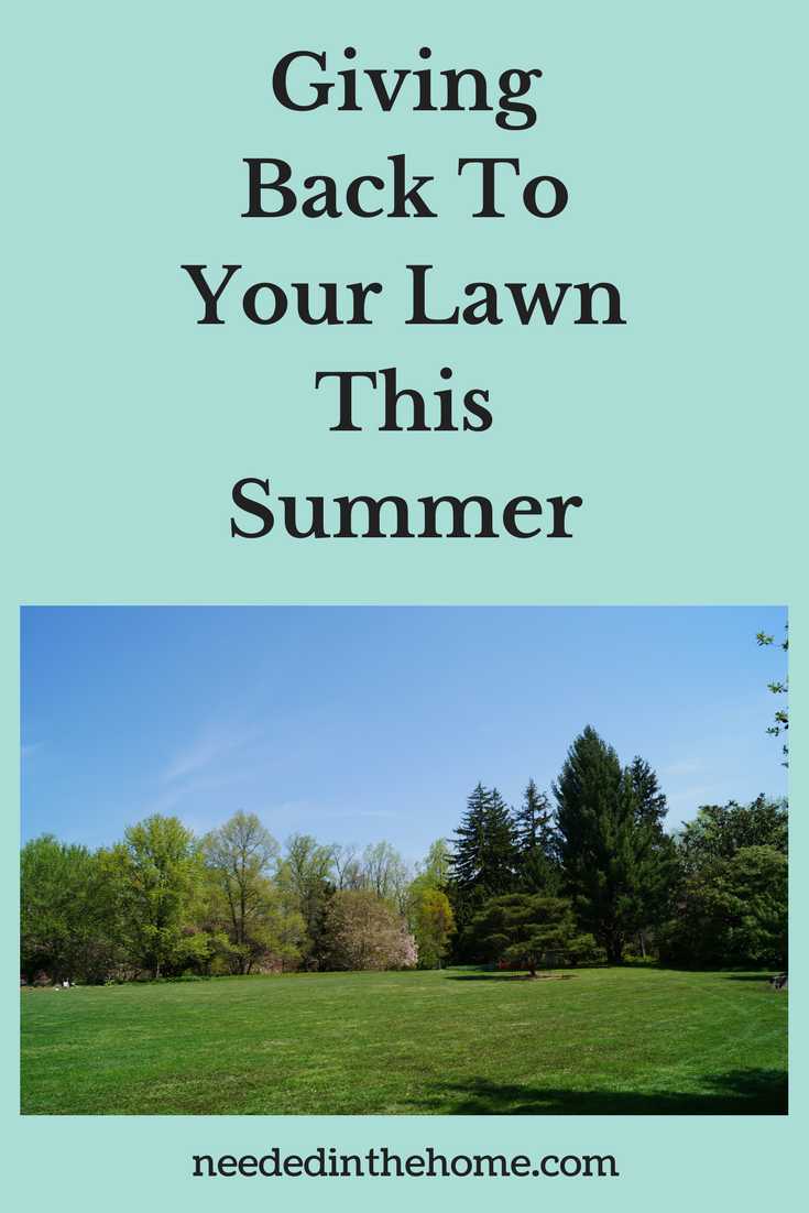 Lawn Care / Giving Back To Your Lawn This Summer landscaped lawn with trees edging backyard