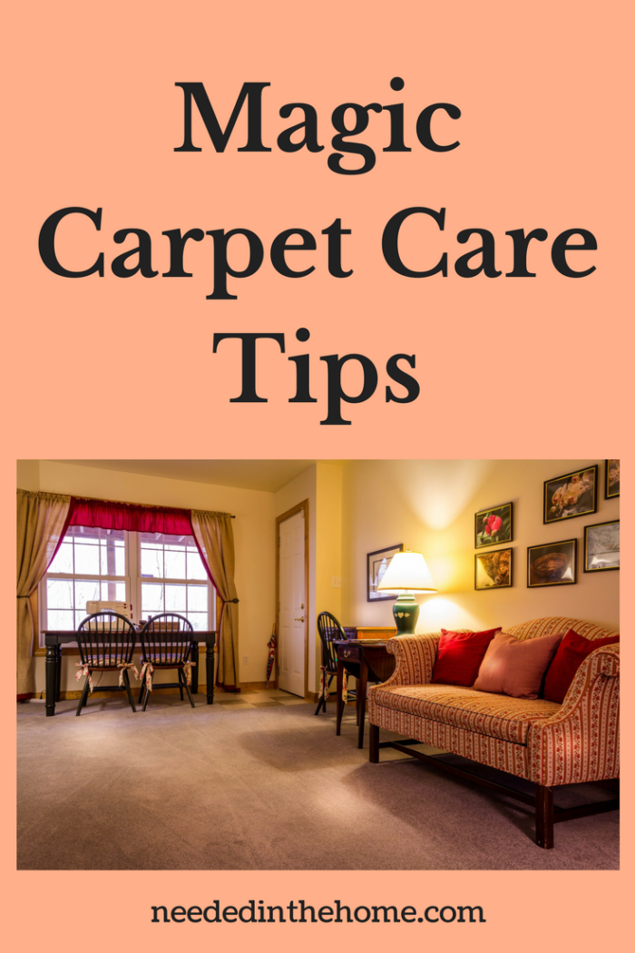 Magic Carpet Care Tips for keeping your carpet clean