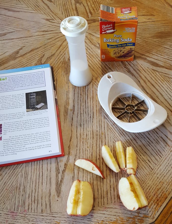 Review of Exploring Creation with Human Anatomy science experiment preparation including sliced apples salt baking soda