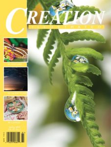 Spring Creation Illustrated magazine 2018