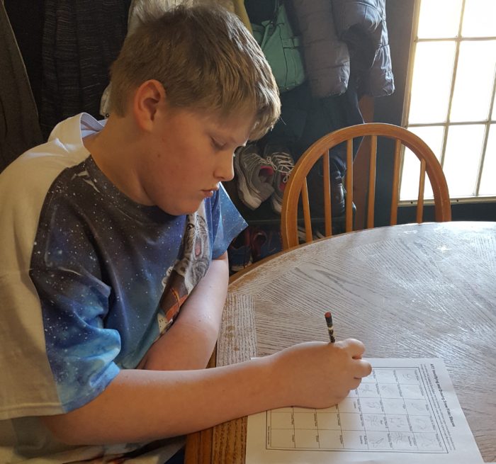 a teen boy drawing the shapes of snow doing a snow unit study for homeschool