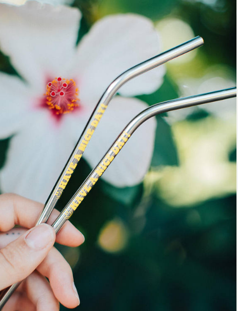 reusable straws for sale online Stainless Steel Reusable Straw (Smiley Face) Have a nice day!