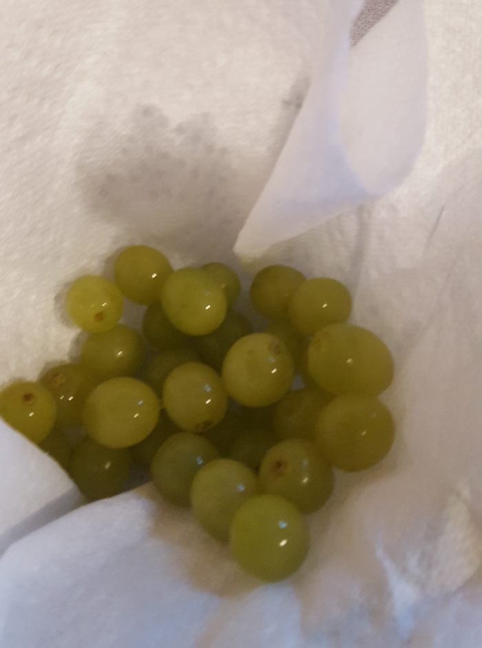 Young Living Thieves Products grapes after fruit spray is rinsed off