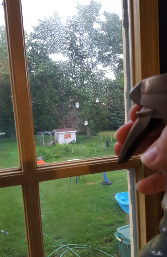 Young Living Thieves Products household cleaner spray spraying the window to clean it
