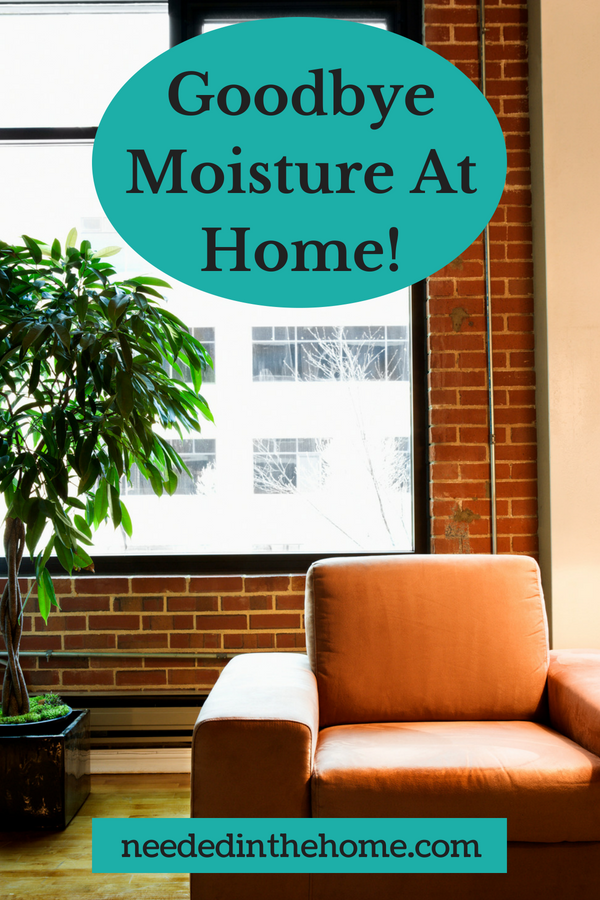 Goodbye moisture at home! image plant next to window and easy chair neededinthehome