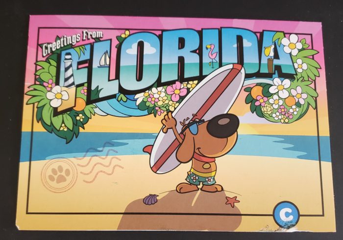 Greetings from Florida cartoon dog holding a surfboard flower beach seashell chewy logo