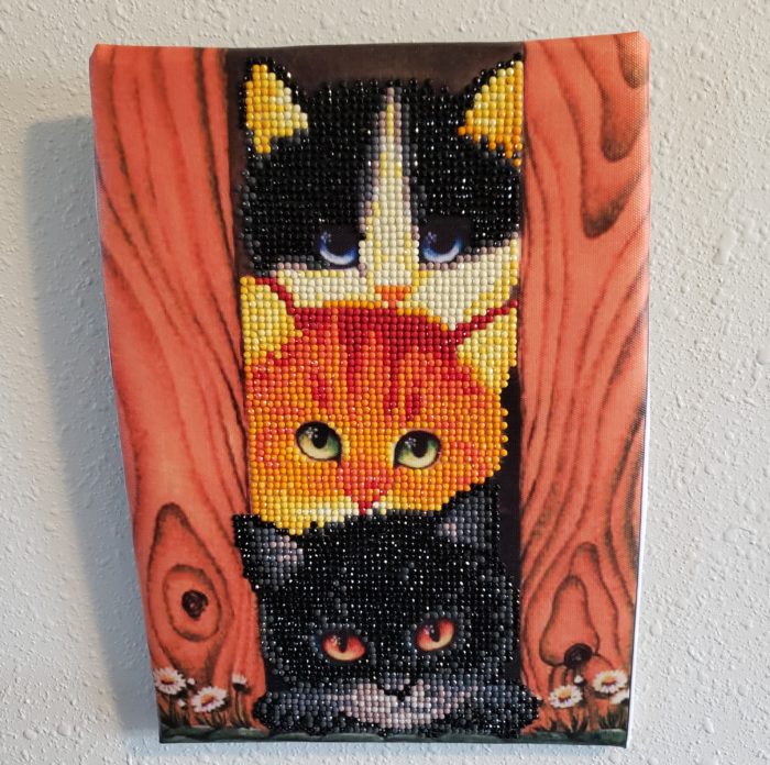 Diamond painting tutorial completed cats design