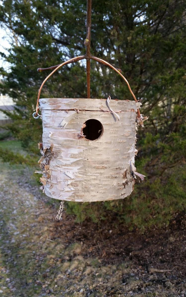 Birch decor bird house
