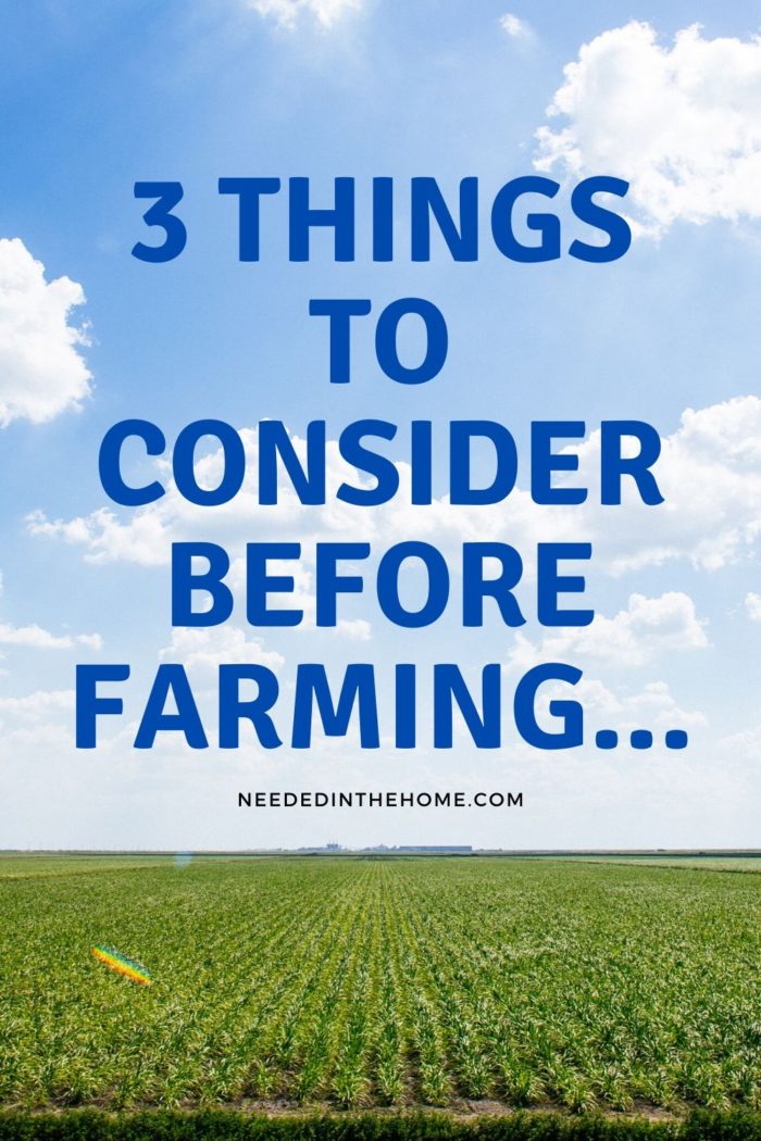 pinterest-pin-description 3 things to consider before farming... neededinthehome sky with clouds planted field of greens