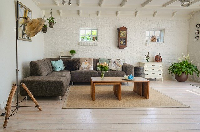 interior inspiration contemporary living room decor in neutral hues sofa coffee table clock windows plant flowers