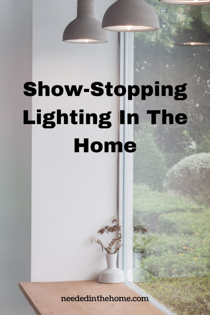 pinterest-pin-description show stopping lighting in the home window lighting plant neededinthehome