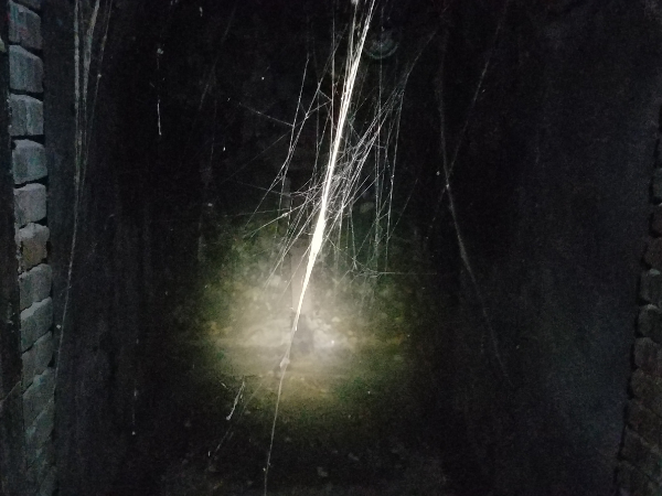 basement crawlspace checked cobwebs