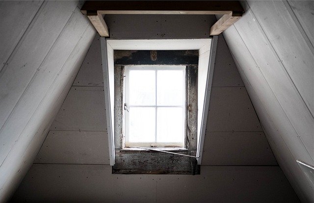 chore jobs in attic window mold