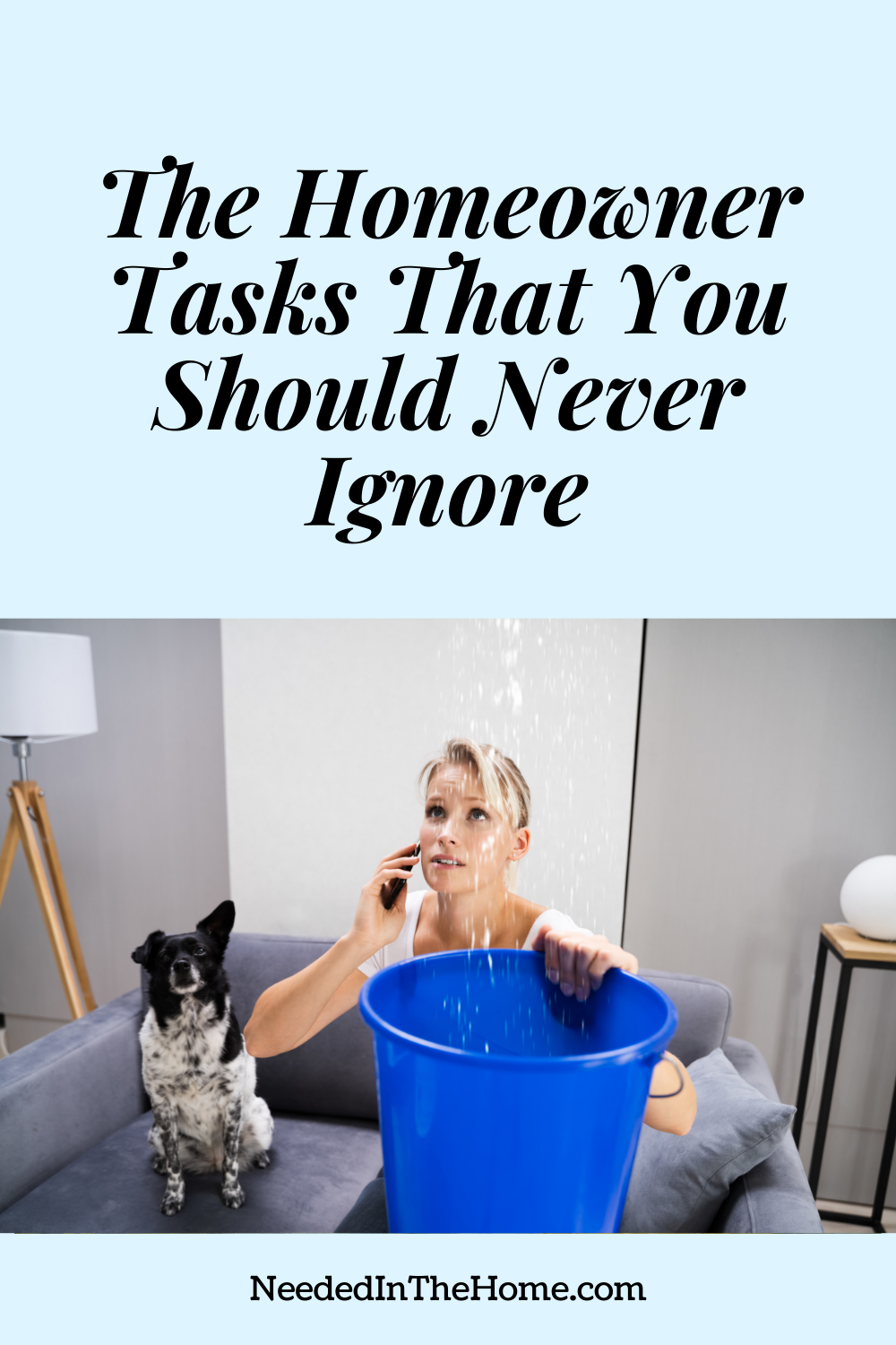 pinterest-pin-description the homeowner tasks that you should never ignore woman on telephone holding bucket to catch drips from leak in ceiling with dog on couch living room neededinthehome