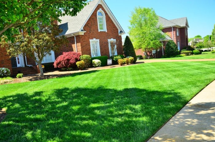 perfect your backyard for summer brick home beautiful lawn tree shrubs