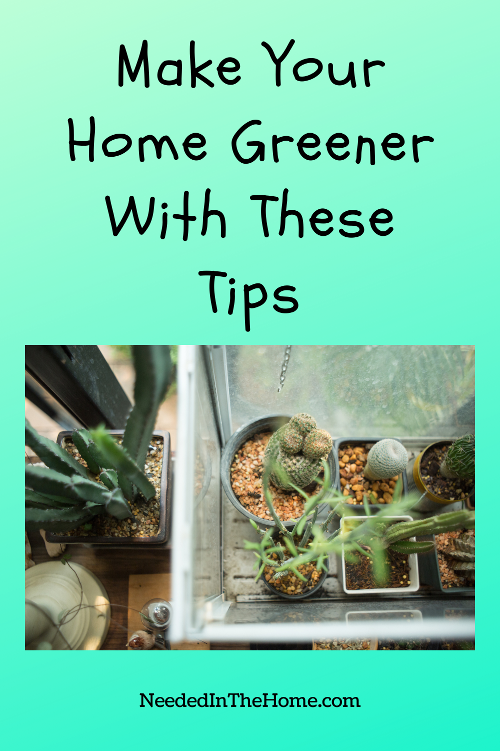 pinterest-pin-description make your home greener with these tips cactus plants on tables near window neededinthehome