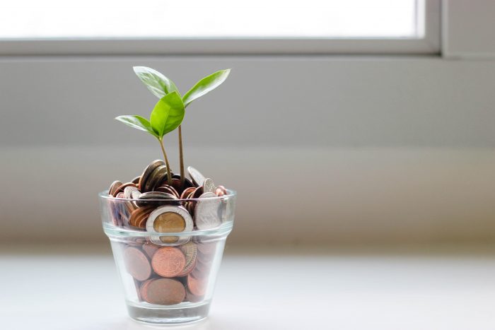savings this winter in a glass pot with leaves growing out of coins