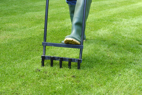 lawn look fabulous mud boot aerating the lawn with metal tool