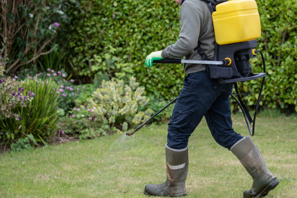 fertilizing your lawn man with yellow tank on back and hose with rubber boots spreading fertilizer on lawn