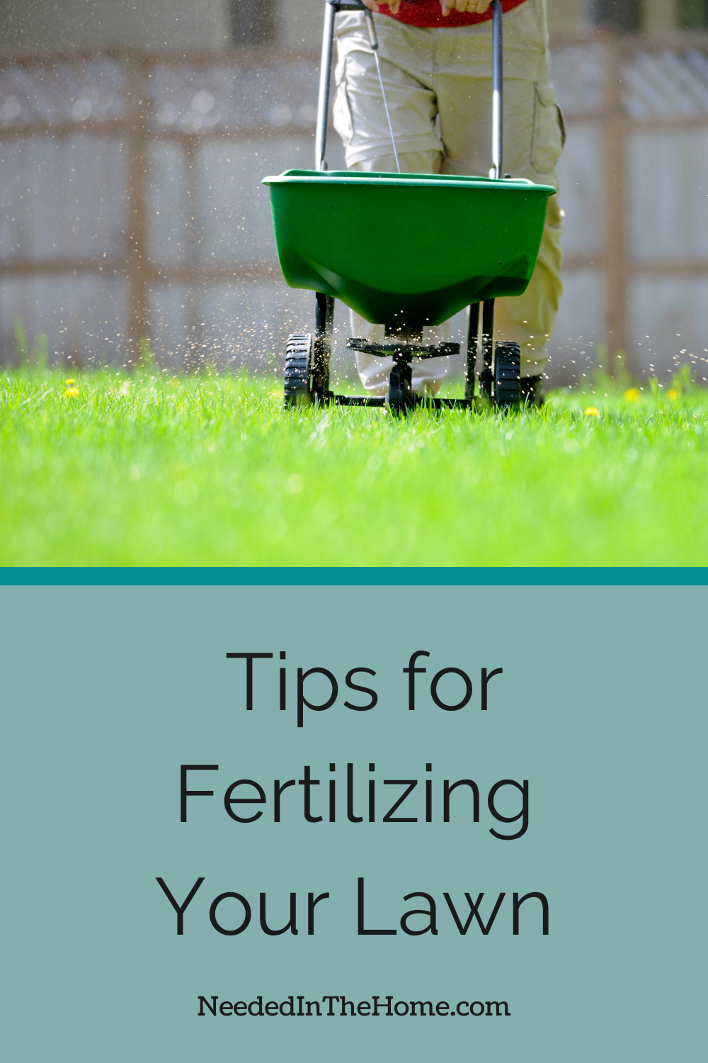pinterest pin description tips for fertilizing your lawn man spreading fertilizer granules on lawn with green spreader neededinthehome