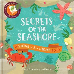 secrets of the seashore book cover shine a light books