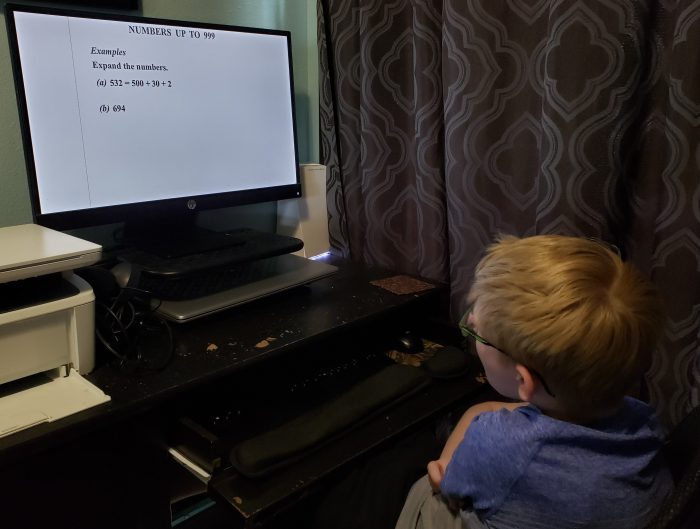 boy wearing glasses looking at computer screen numbers up to 999 online math curriculum