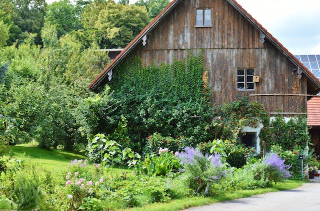 barn with ivy growing on one side next to a beautiful garden