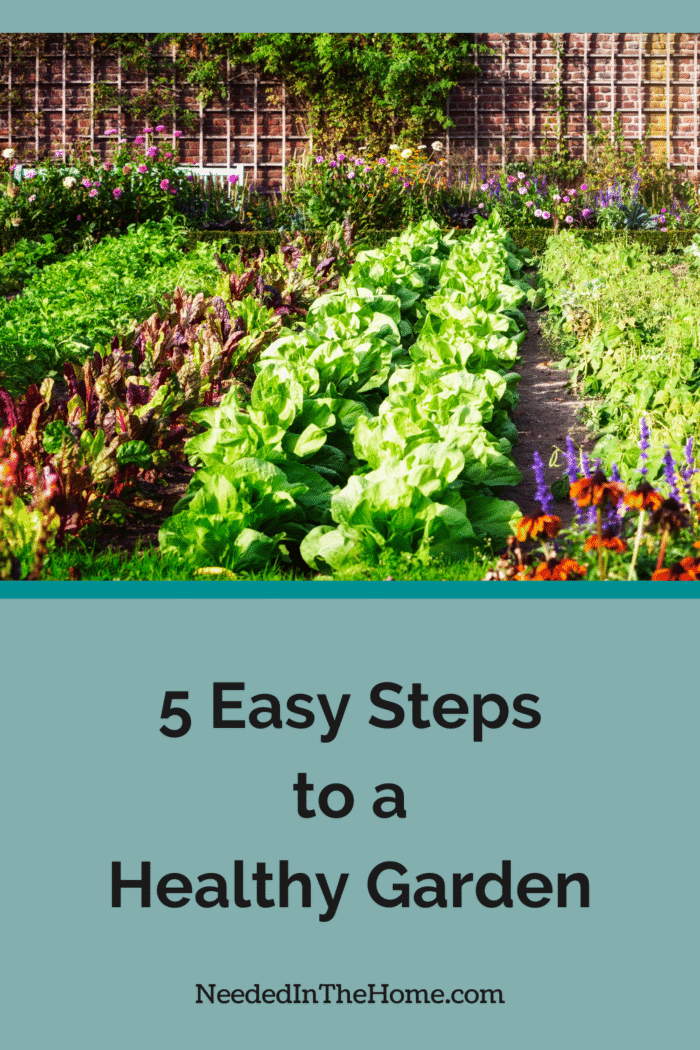 healthy garden produce ready for harvest in a backyard 5 easy steps to a healthy garden neededinthehome