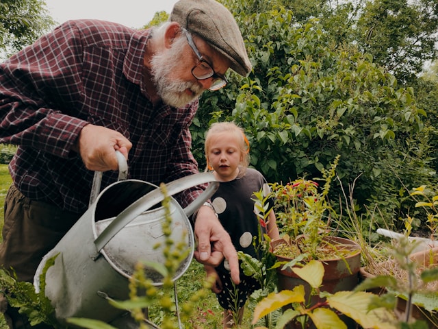 elderly man watering garden with granddaughter nearby