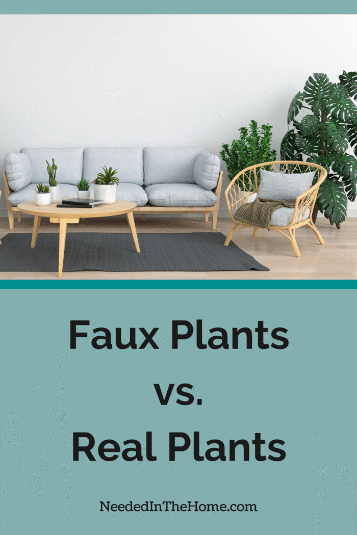 living room couch and chair and coffee table with large and small plants and a few books and rug faux plants vs real plants neededinthehome