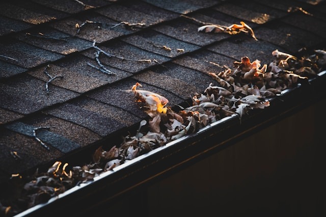 roof with twigs and leaves on it