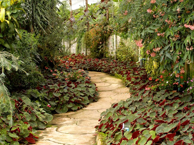 flat stone backyard garden path through a landscaped planted area