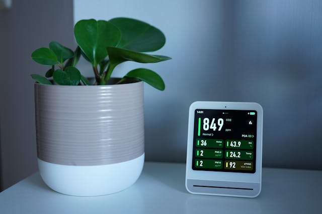 potted plant next to digital air barometer