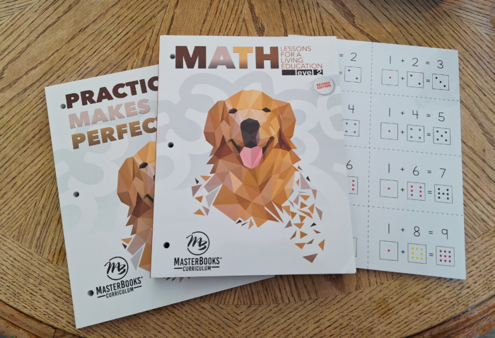 math workbook practice book and flash cards for grade 2