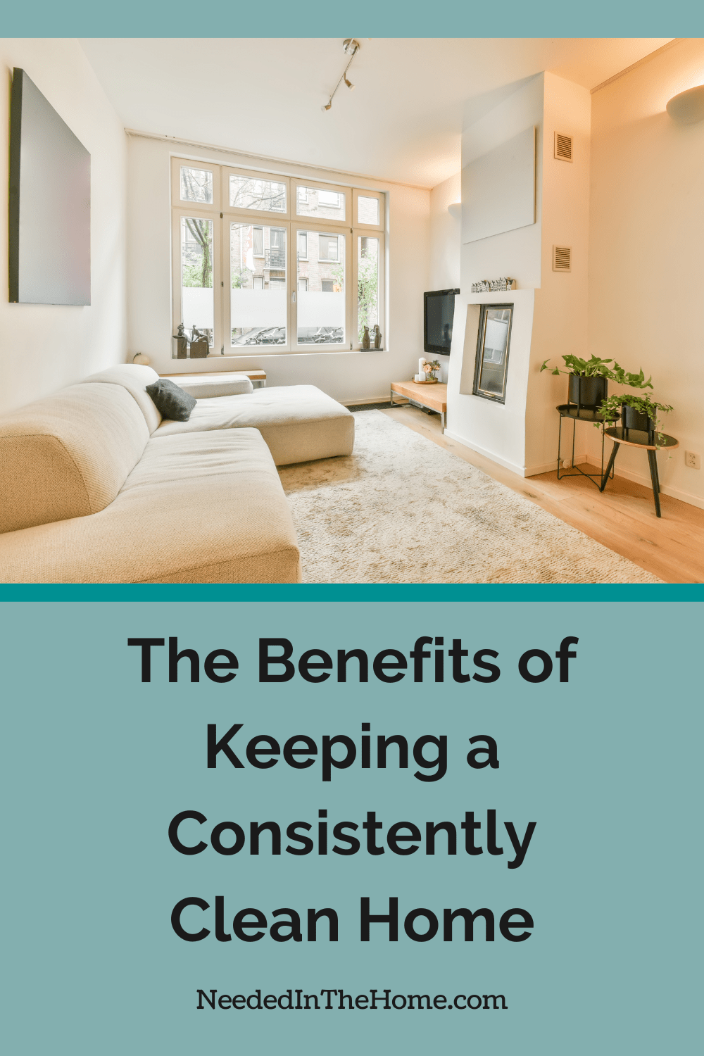 clean living room with couch plants clean windows the benefits of keeping a consistently clean home neededinthehome
