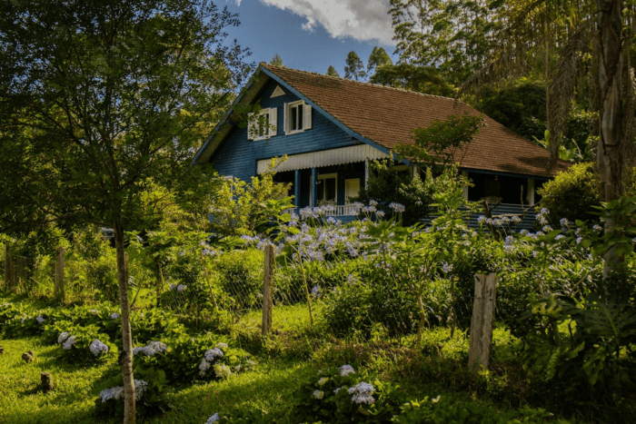 house is messy yard that needs landscaping