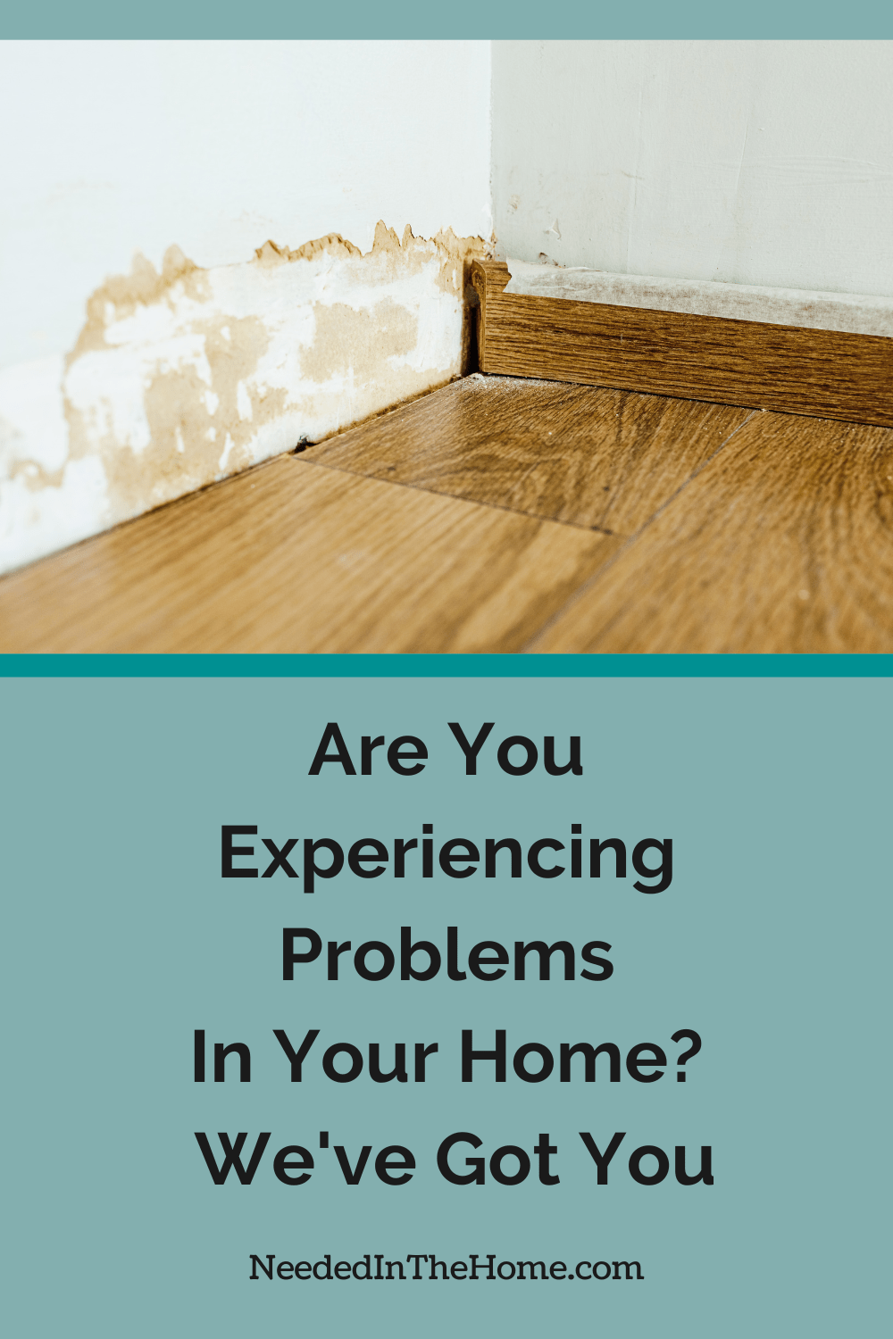 corner of a wall and wood floor with mold and dust are you experiencing problems in your home weve got you covered neededinthehome