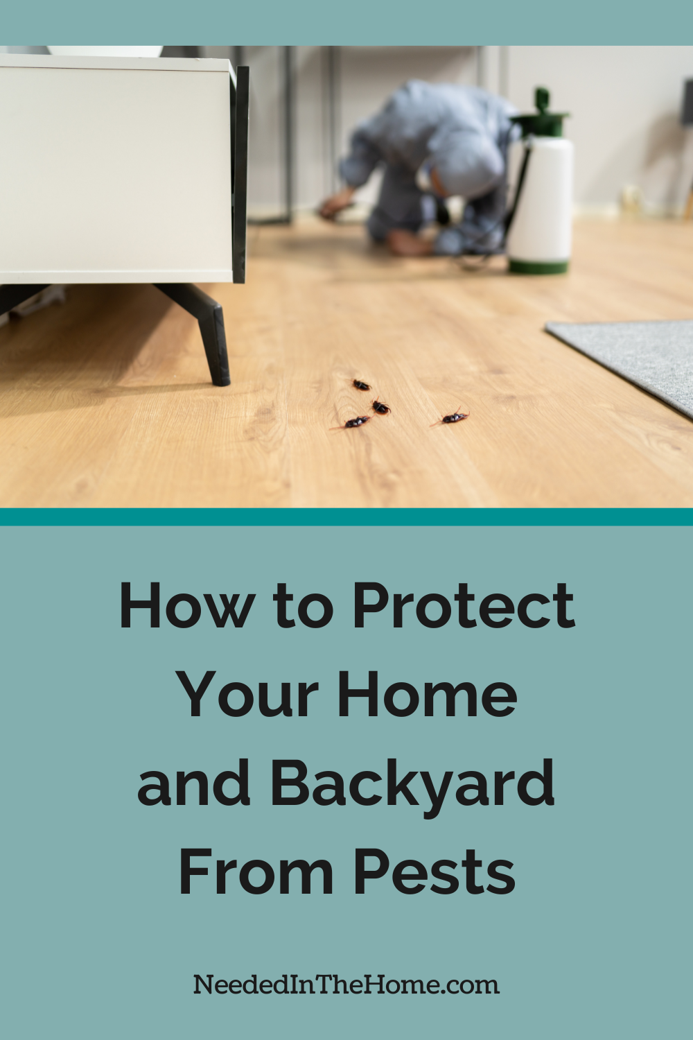 pest control worker spraying under furniture with bugs nearby how to protect your home and backyard from pests neededinthehome