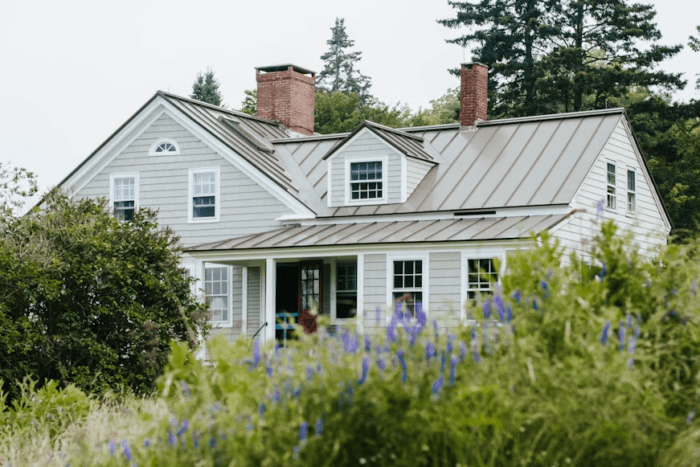 house with overgrown landscaping