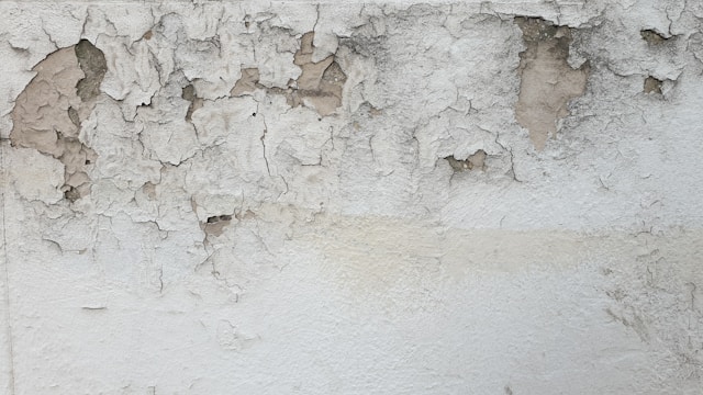 moisture damage to drywall in a home
