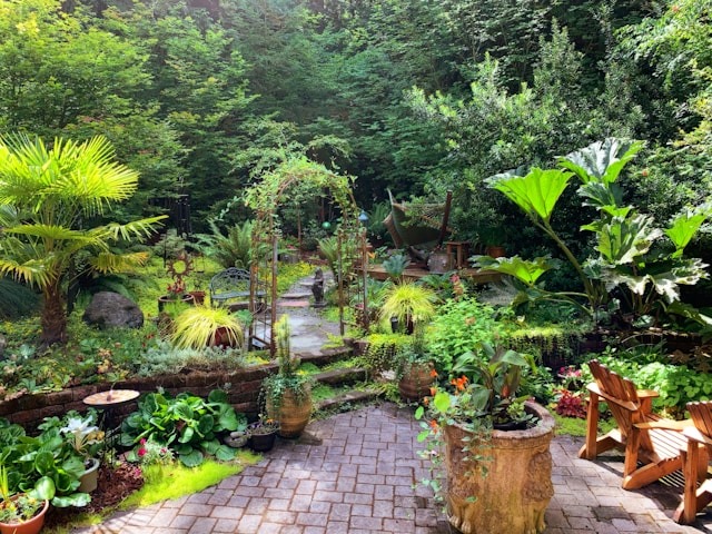 Backyard trees look nice, they offer shade, clean the air, and boost your property's value. Here is how to keep your backyard trees healthy. backyard garden patio with lots of thriving plants and trees