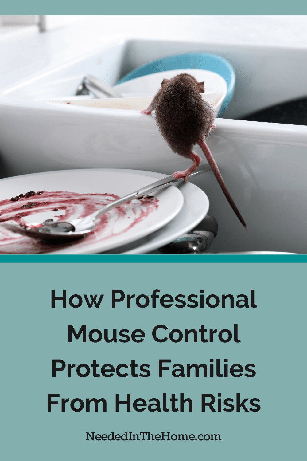 mouse climbing over the sink on dirty dishes